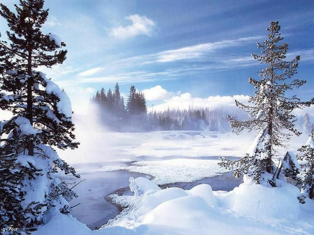 paysage neige
